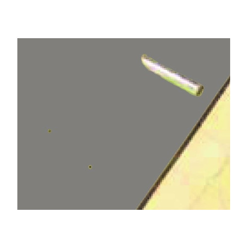 Bâche à barres SAFECOVER Bâche à barres SAFECOVER