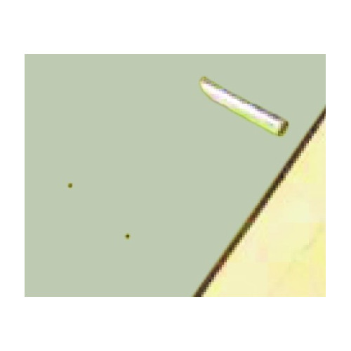 Bâche à barres SAFECOVER Bâche à barres SAFECOVER