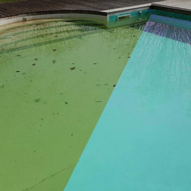 Nettoyage Piscine "eaux vertes" Nettoyage Piscine "eaux vertes"